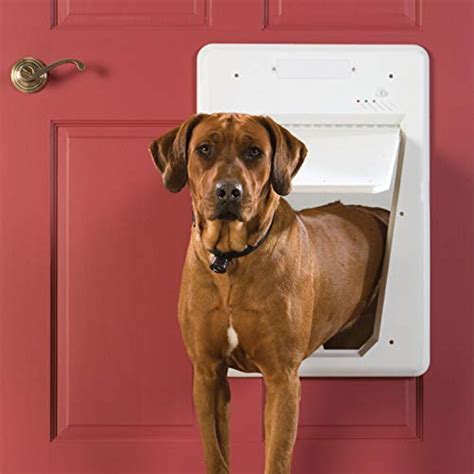 rfid chip dog door|best collar activated dog door.